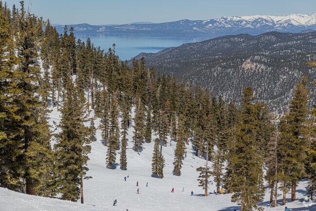 Kingsbury skiers carve their mark on Heavenly's Olympic Run.