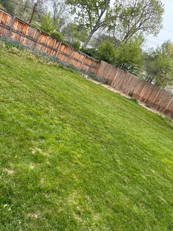 4624 E Dartmouth Ave, Denver, CO 80222 - photo 2