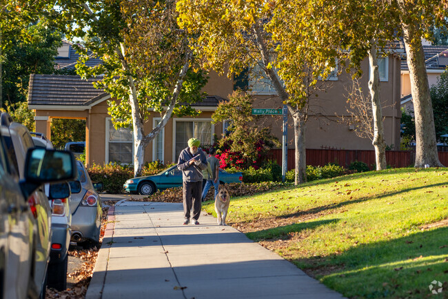 Ashbridge offers scenic paths perfect for leisurely dog walks.