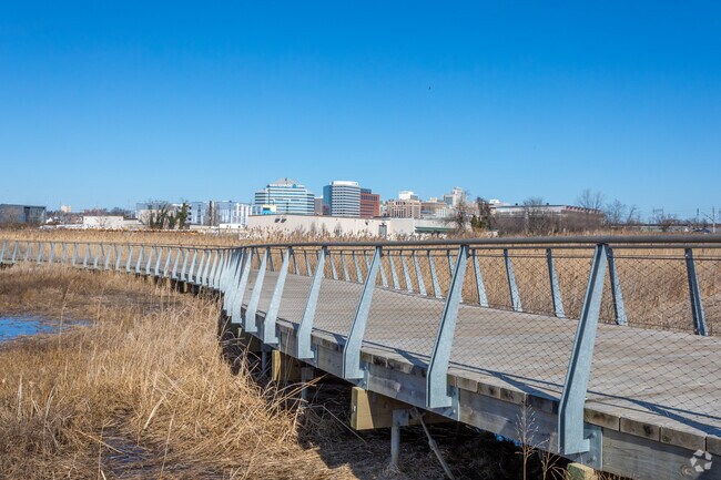 Southbridge Wetlands Park features a walking path in South Wilmington.