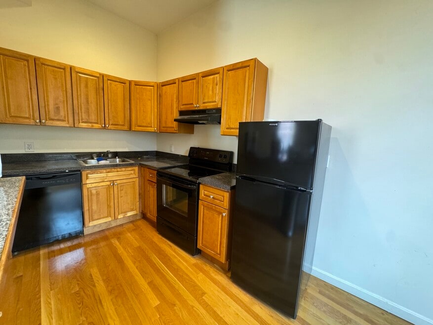 176 W Springfield St unit 1, Boston, MA 02118 - photo 1