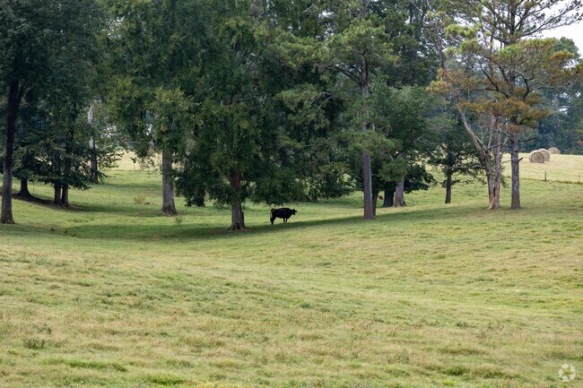 Farmland is abundant in Rock Spring, GA.