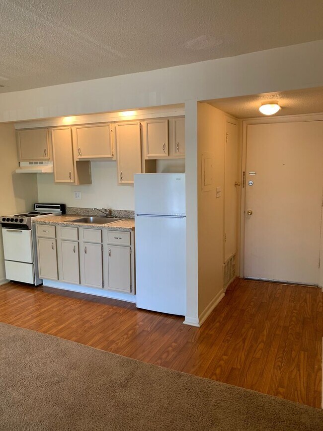 Broad Ripple Trails, Indianapolis, IN 46220 - photo 4