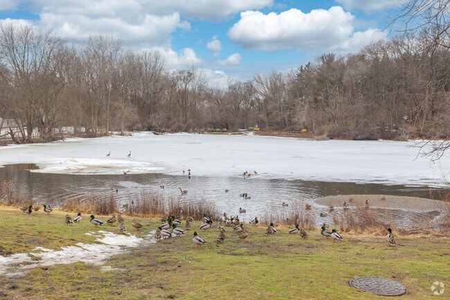 Ambrose Park near Northview offers serene water views and wildlife spotting opportunities.