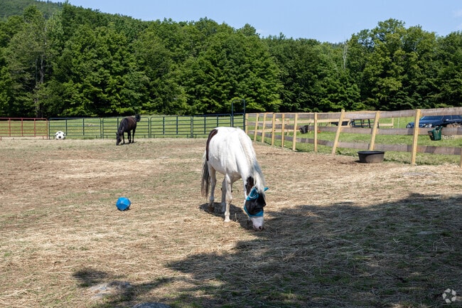 For horse enthusiasts, Farmington provides a wealth of suitable properties.