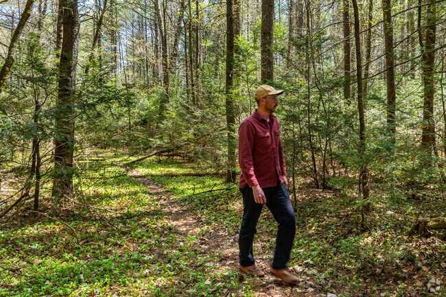 The woods surrounding Petersham offer many opportunities for stunning hikes.