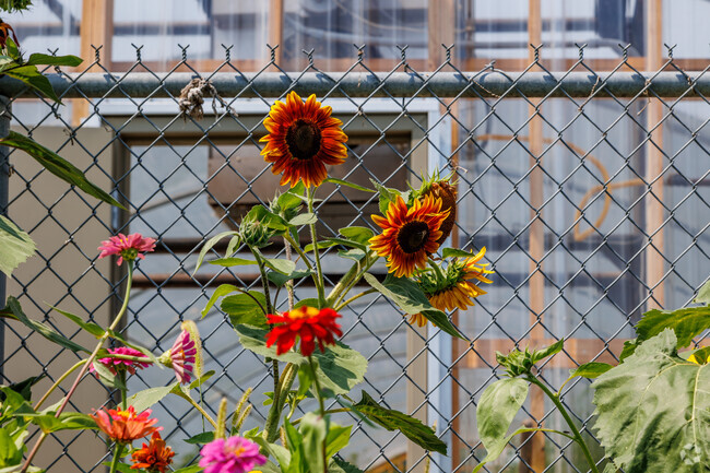 A green house with colorful flowers adds to the landscape at Nixa Junior High School.