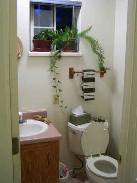 Downstairs half bath