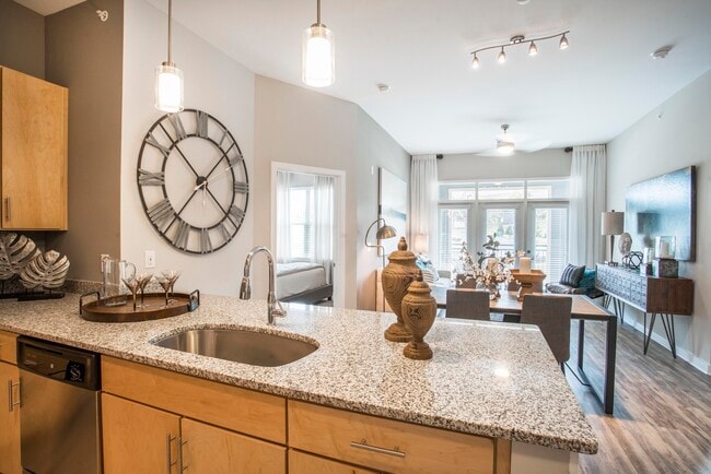 James River at Stony Point, Richmond, VA 23235 - photo 2