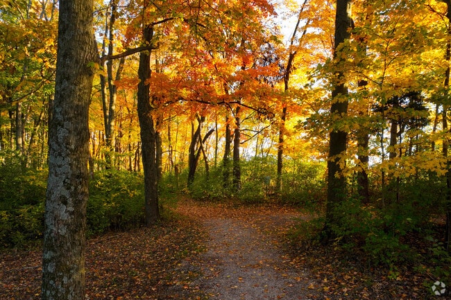 Middelton-Mills Park is loaded with wooded trails.