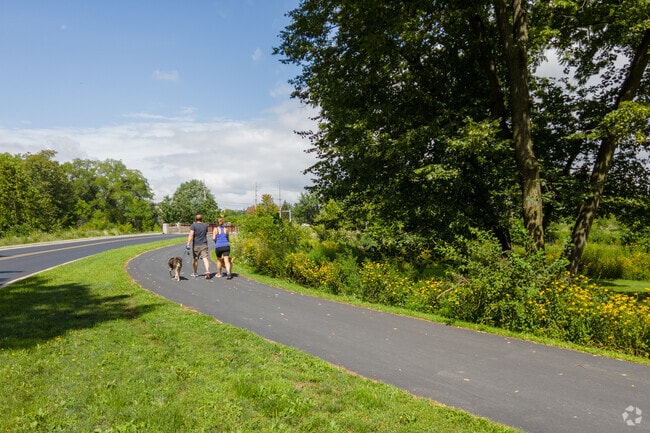 A couple with their dogs enjoying a walk at the McDowell Grove Forest Preserve in Warrenville.