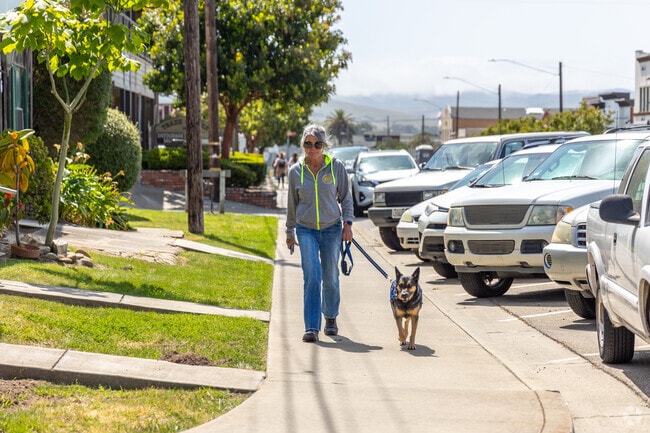 Take your dog for a walk in Old Town Orcutt.