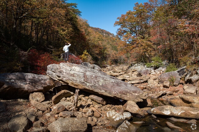Escape to the incredible river gorges around Soddy-Daisy.