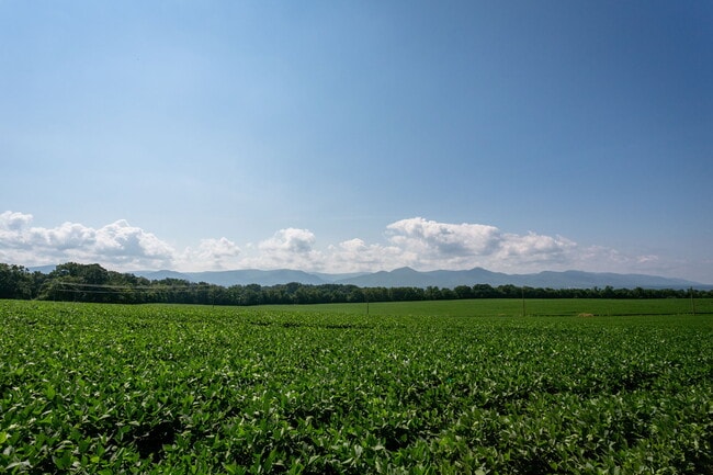 21-web-or-mls-Overbrook Neighborhood-10.jpg