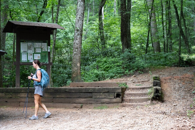 Hiking trails are a highlight, as is the Blue Ridge.