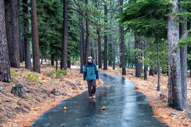 Tahoe Donner has many paved trails throughout for walks away from the car traffic.