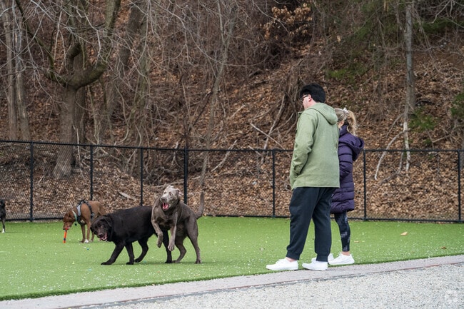 Neighbors visit the Town of Auburn dog park to let their dogs run.