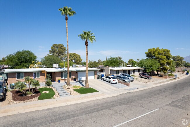 Many homes in Groves Lincoln Park feature palm trees or pine trees.