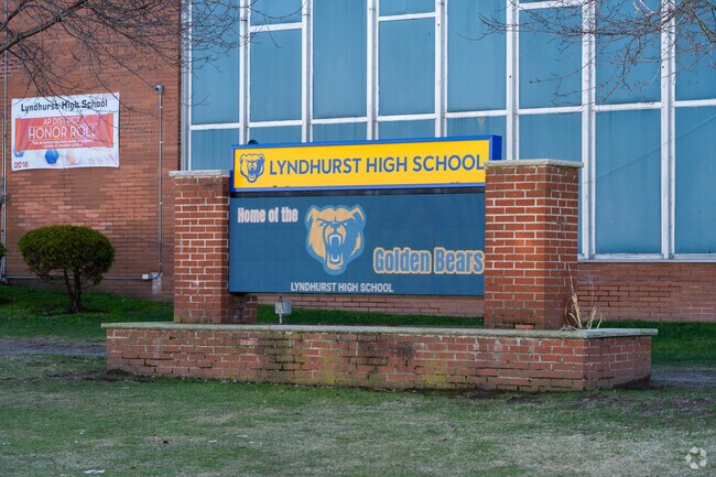 The mascot of choice for the Lyndhurst High School is a bear.