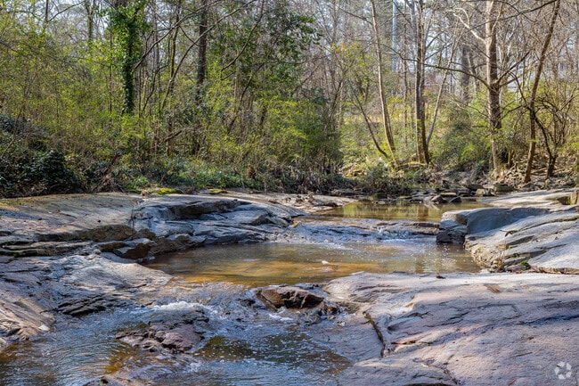 Enjoy the beautiful nature of Tanyard Creek Park in Collier Hills.