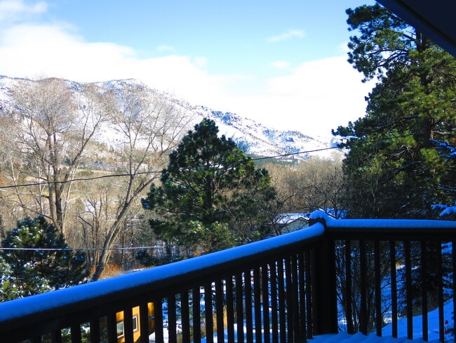 9885 Fountain Rd, Cascade, CO 80809 - photo 4