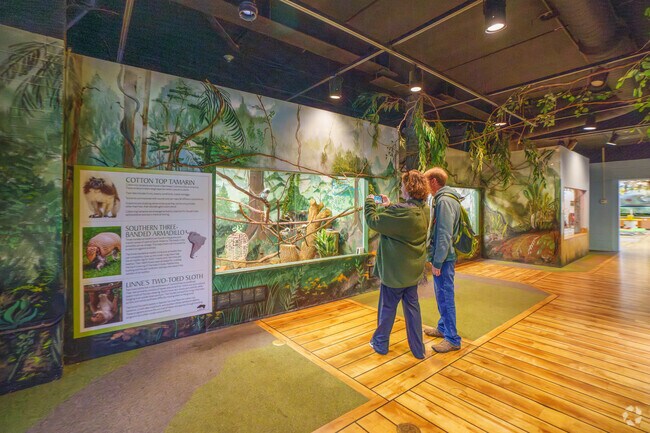 Numerous exhibits are on display at the Oglebay Good Zoo near Pleasanton.
