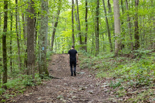 Lantern Hill trail is one of many places to hike in North Stonington.