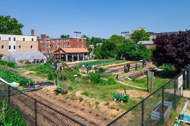The Common Good City Farm is a non profit in LeDroit Park that offers classes, volunteer opportunities and a farmers market every Wednesday.