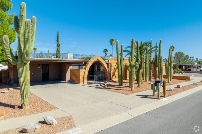 Older homes in Tucson may be dwarfed by their desert landscaping.