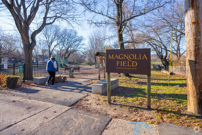 Take a walk through Magnolia Park in East Arlington.