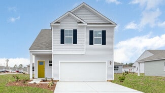 6456 Zoysia Way Unit 36205840, Castle Hayne, NC 28429