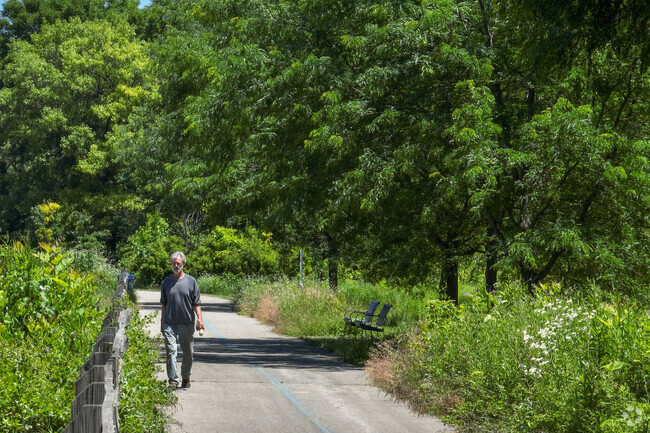 Walking trails with beautiful greenery can be found all throughout Old Northside.