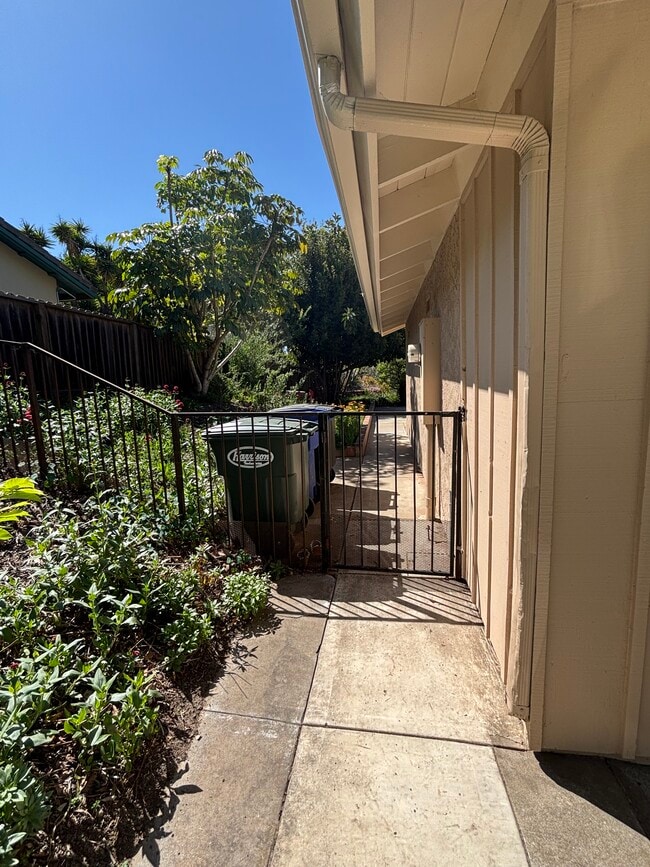Side gate to studio front door