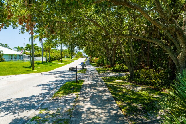 Treelined sidewalk on NE Alice St in Historic Rio.