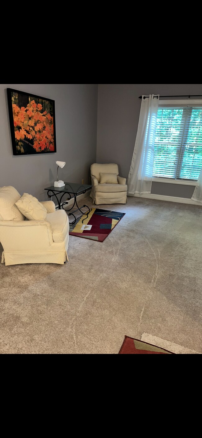 12 Stone House Rd, Arden, NC 28704 - photo 6