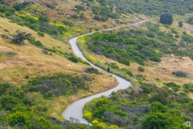 Winding trails at San Bruno Mountain State Park provide a beautiful escape for hikers.