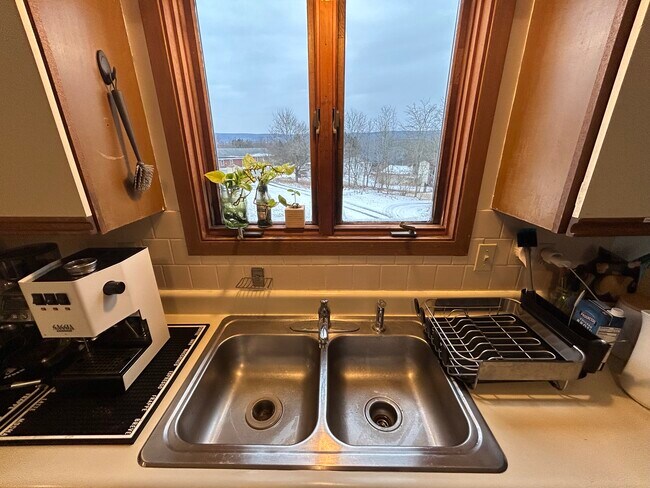 117 Honness Ln unit A, Ithaca, NY 14850 - photo 6