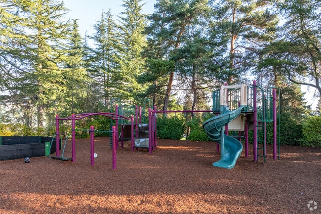 Sacred Heart School playground.