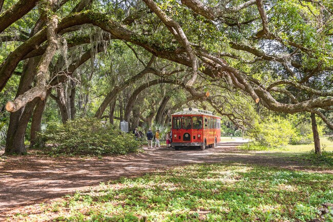 Explore the Charleston Tea Garden on a fun trolley ride with family on Wadmalaw Island.