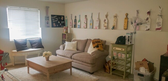 Basement Living Room