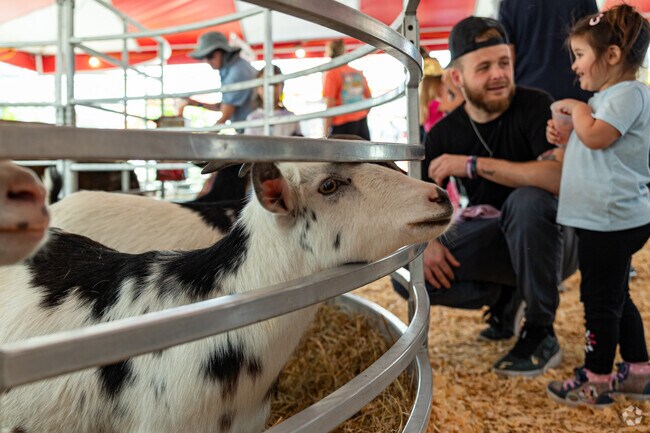 Families enjoy meeting friendly animals at the fairgrounds in Orangetree.