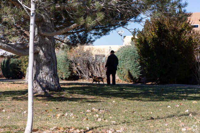 Academy Hills Park is a favorite spot for local dog walkers.