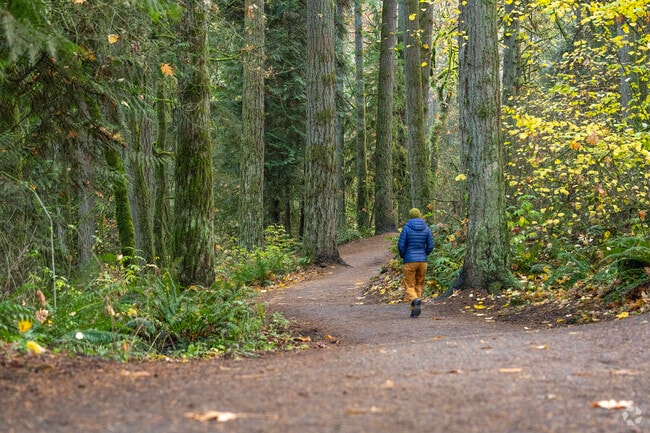 Whipple Creek Park in Knapp provides shaded paths for nature walks.