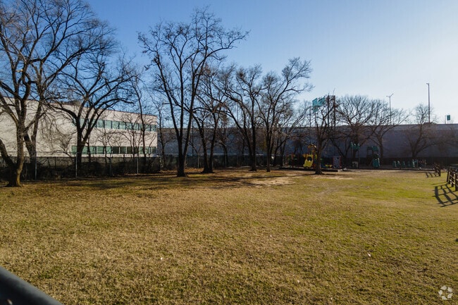 Cedar Tree Academy Public Charter School