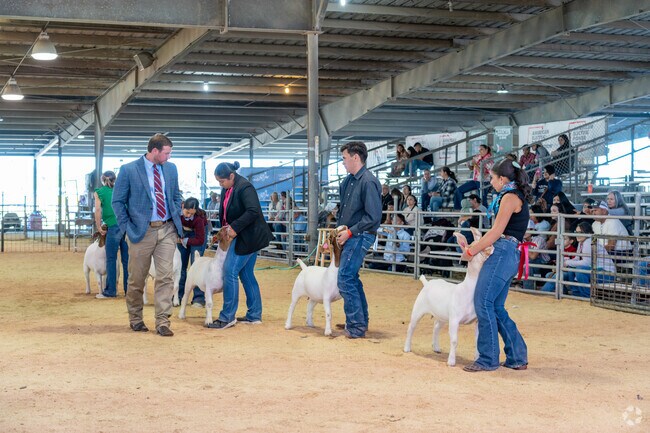The annual RGV Livestock Show in Mercedes draws Donna residents and other visitors.