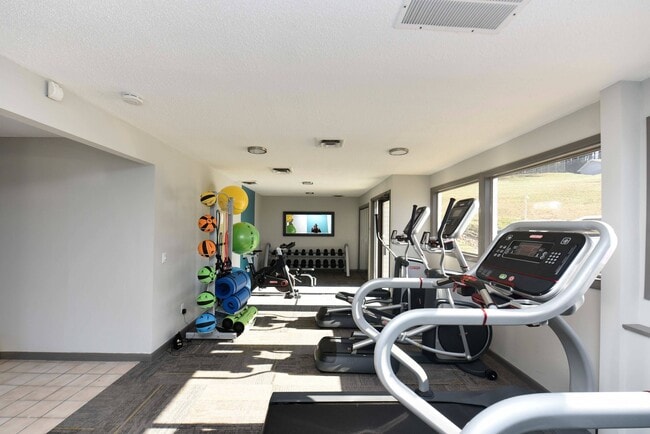 Palmer, Knoxville, TN 37912 - photo 4