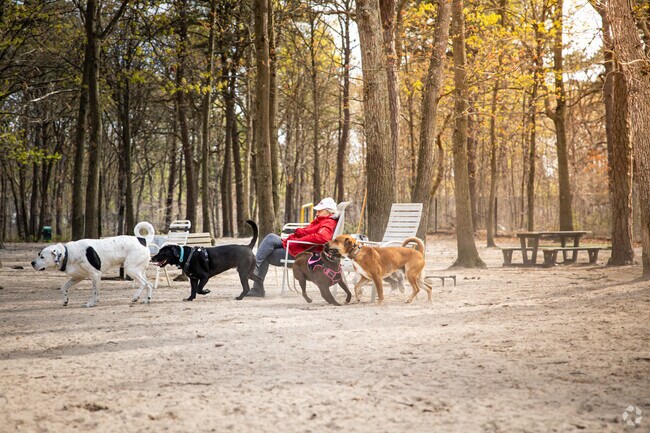 Bring your pup to play with friends at the Selden Dog Park.