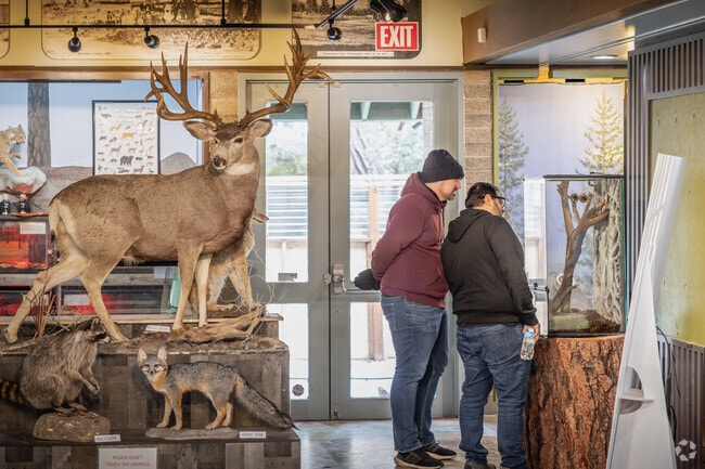 Visit The Idyllwild Nature Center near Pine Cove to learn about the local wildlife.