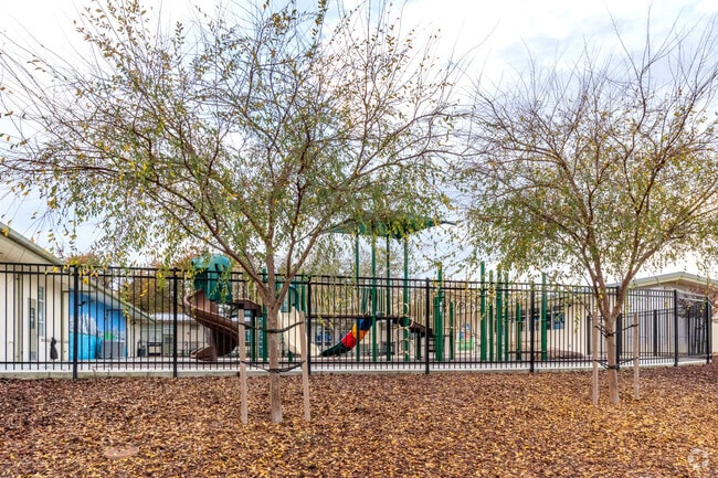 Your kids will never want to leave the playground at Central Park Elementary.