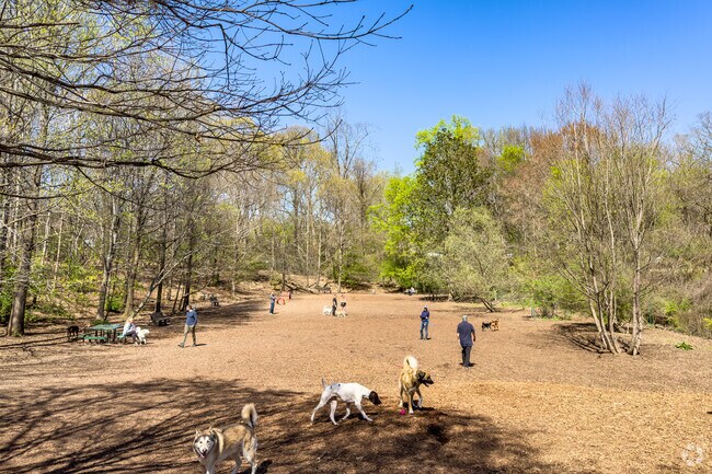 Take your furry friend to Oakhurst Dog Park in Decatur for some much needed exercise.